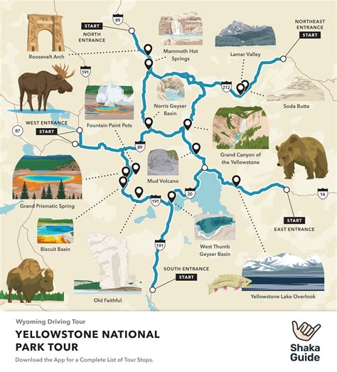 caravan yellowstone|Campervan Road Trip to Yellowstone National Park